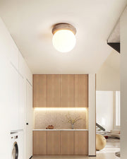 Asteroid Ceiling Lamp-DWHOME