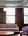 Astral Curve Ceiling Lamp-DWHOME