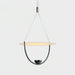 Aurelia Disc Pendant Lamp - Vakkerlight