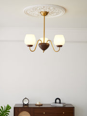 Aurorium Chandelier-DWHOME