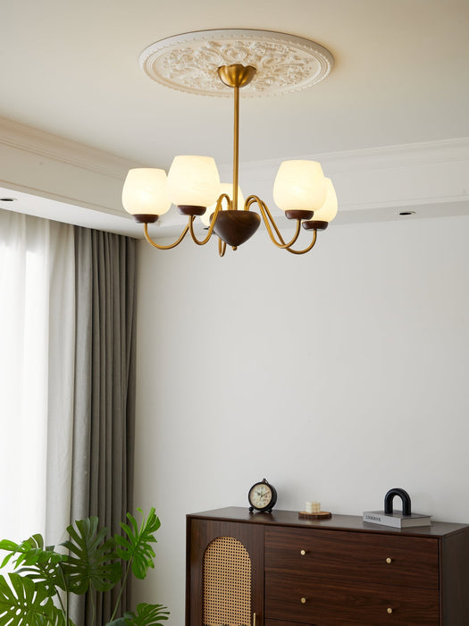 Aurorium Chandelier-DWHOME