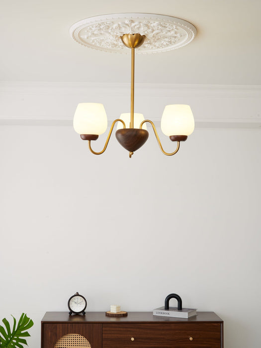 Aurorium Chandelier-DWHOME