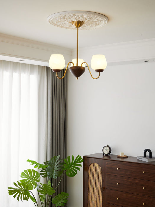 Aurorium Chandelier-DWHOME