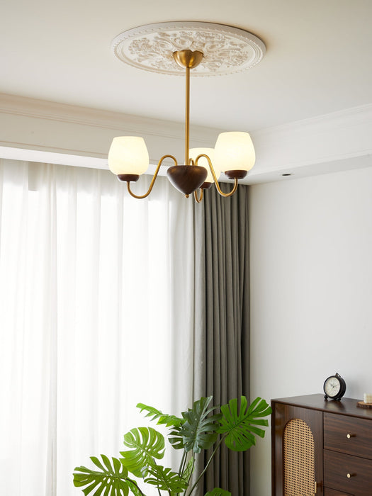 Aurorium Chandelier-DWHOME