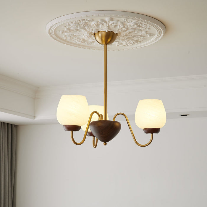 Aurorium Chandelier-DWHOME