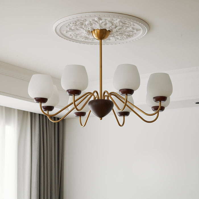 Aurorium Chandelier-DWHOME