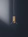 Axis T Pendant Light-DWHOME