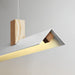 Axis T Pendant Light-DWHOME