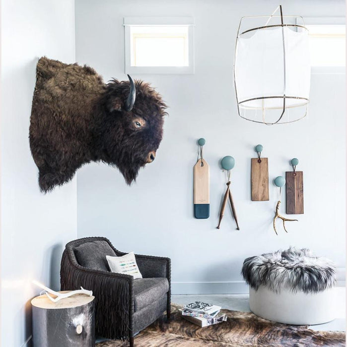 Ay illuminate Pendant Light-DWHOME