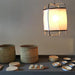 Ay illuminate Pendant Light-DWHOME