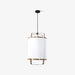 Ay illuminate Pendant Light.