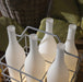 Bacco Built-in Battery Table Lamp-DWHOME