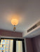 Balloon Glossy Ceiling Light - DWHOME