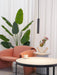 Bang Concrete Pendants Light-DWHOME