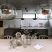 Pearl Pendant Light-DWHOME