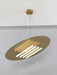 Big Disc Pendant Lamp-DWHOME