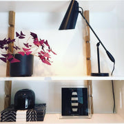 Birdy Table Lamp-DWHOME