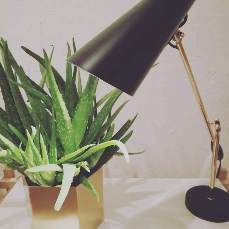 Birdy Table Lamp-DWHOME