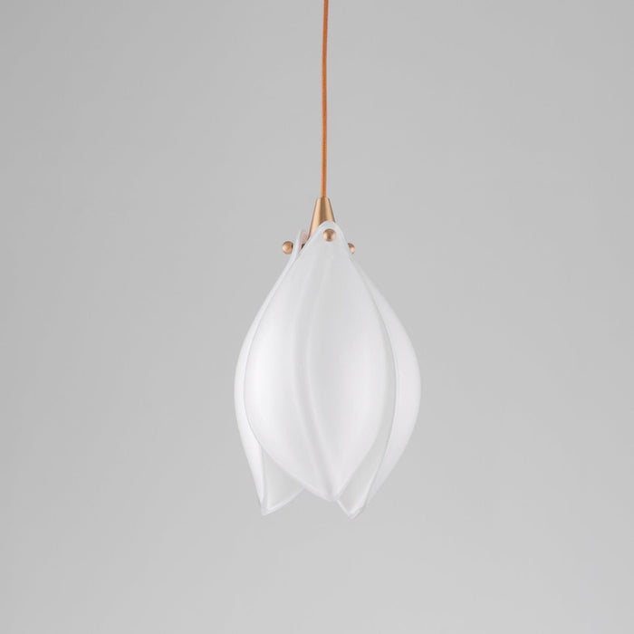 Bloom Pendant Light - Vakkerlight