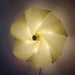 Bloom Petals Wall Lamp - DWHOME