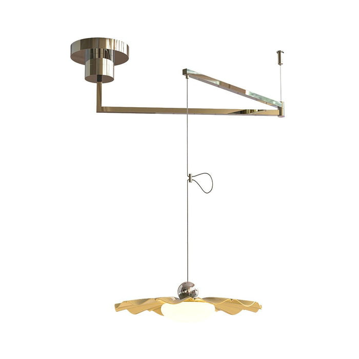 Blooming Flower Pendant Light-DWHOME
