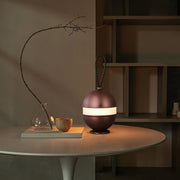 Bolleke Built-in Battery Table Lamp-DWHOME