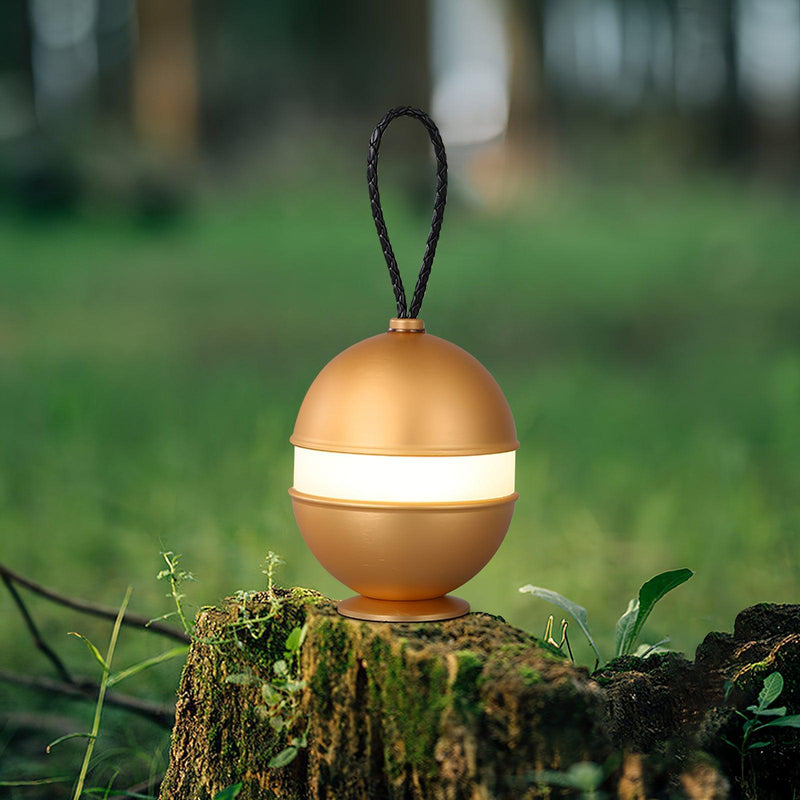 Bolleke Built-in Battery Table Lamp-DWHOME