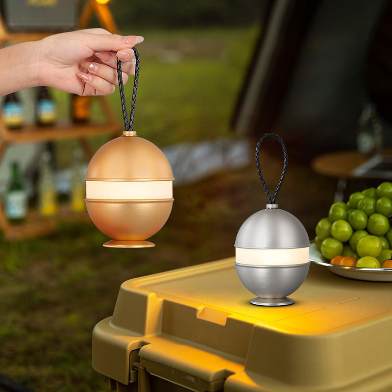 Bolleke Built-in Battery Table Lamp-DWHOME