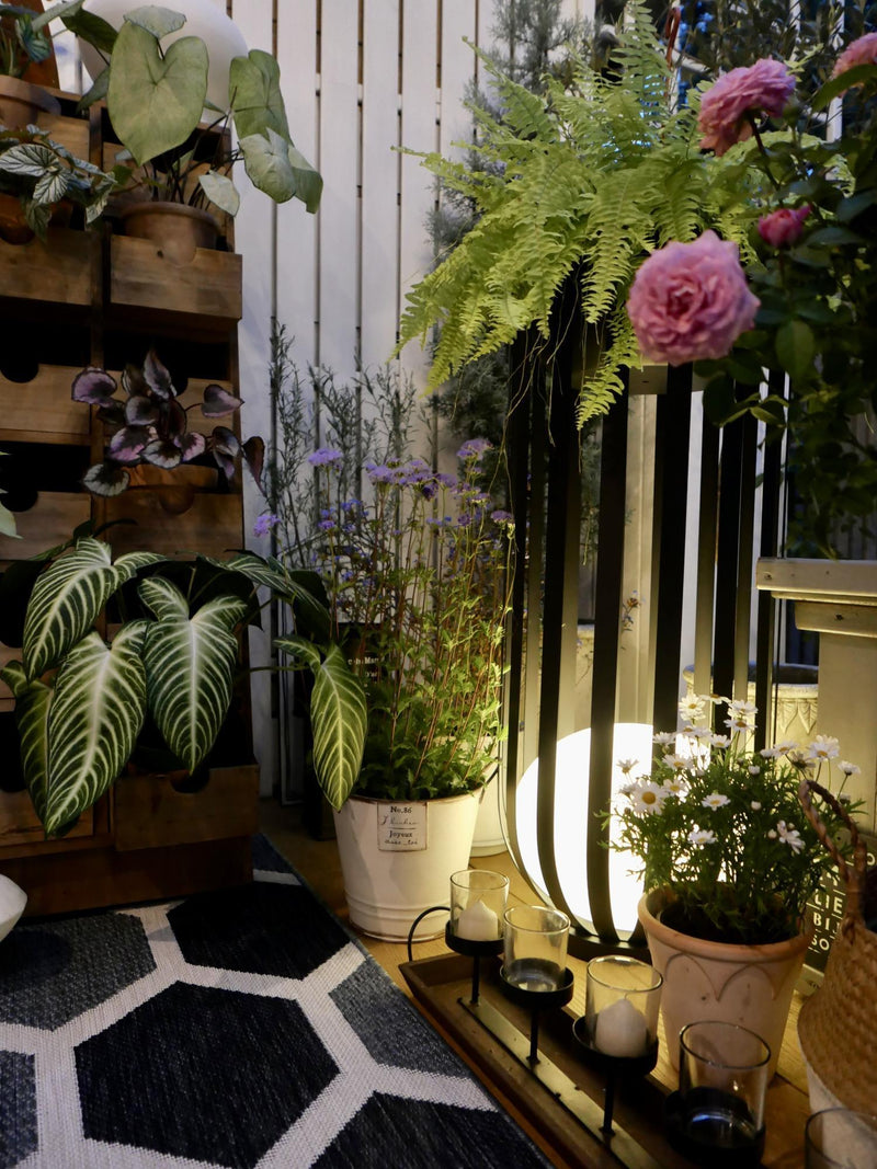 Bols Garden Outdoor Lamp-DWHOME