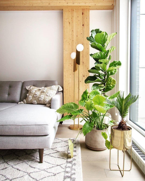 Bower Pendant lamp-DWHOME