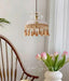 Bowl Tassel Pendant Light - Vakkerlight