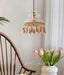 Bowl Tassel Pendant Light-DWHOME