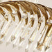 Brass Palm Leaf Crystal Chandelier-DWHOME