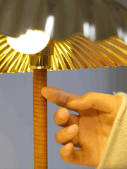 Brass Shell Table Lamp-DWHOME