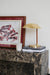 Brass Shell Table Lamp-DWHOME