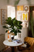 Brass Shell Table Lamp-DWHOME