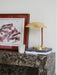 Brass Shell Table Lamp-DWHOME