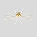 Brass Starbursts Ceiling Lamp - Vakkerlight