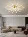 Brass Starbursts Ceiling Lamp.