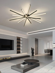 Brass Starbursts Ceiling Lamp-DWHOME