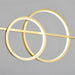 Brooklyn Double Circle Chandelier-DWHOME