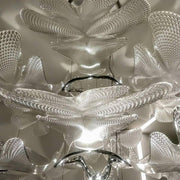 Chlorophilia Suspension Light-DWHOME
