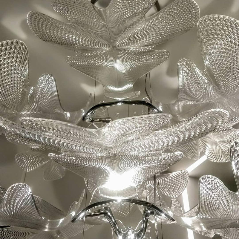 Chlorophilia Suspension Light-DWHOME