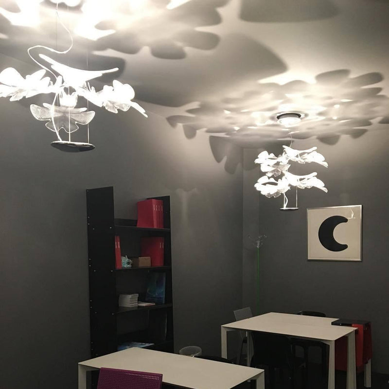 Chlorophilia Suspension Light-DWHOME