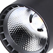 Calla Beam Spotlight-DWHOME