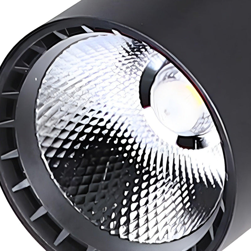 Calla Beam Spotlight-DWHOME