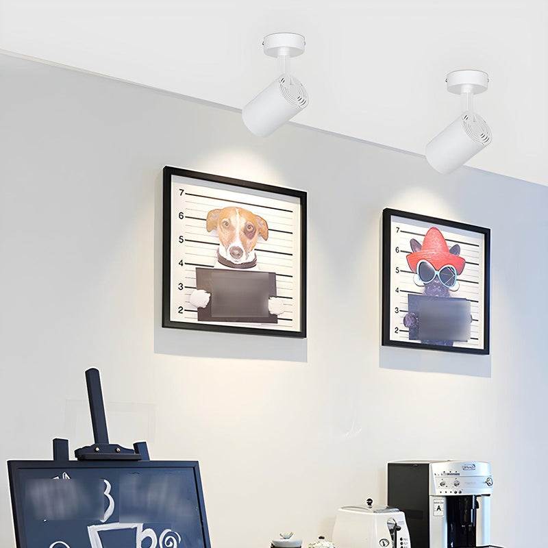 Calla Beam Spotlight-DWHOME