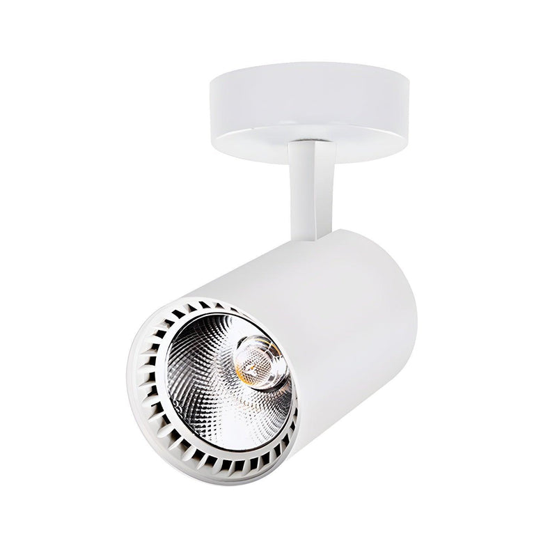 Calla Beam Spotlight-DWHOME