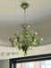 Calle Rafina Chandelier - Vakkerlight