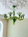 Calle Rafina Chandelier - Vakkerlight